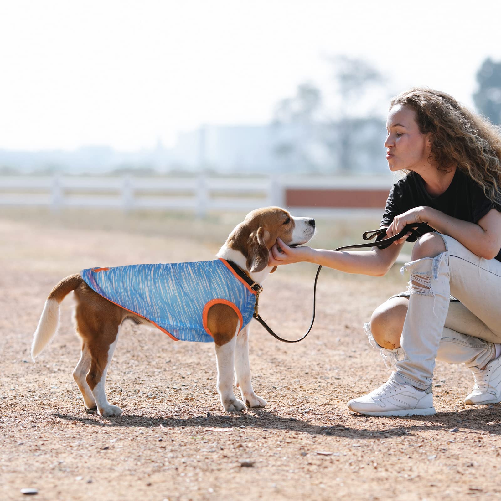 SMALLLEE_LUCKY_STORE Camiseta de Tirantes para Perros pequeños para Mascotas, Chaleco de algodón, con Rayas, para Perrito, Ropa de Chihuahua, Color
