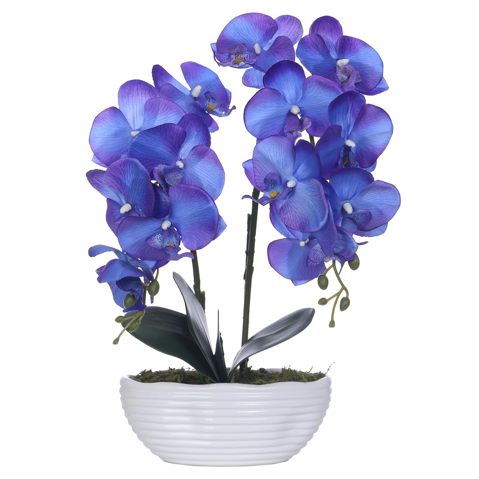 YSZL Potted Orchid Purple Blue