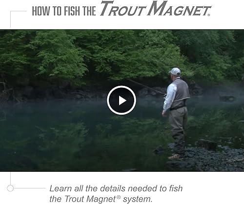 Vista 7 de Kit de pesca de trucha con imán de 82 piezas, incluye 70 cuerpos de lombrices para cebo de trucha y 12 anzuelos de tamaño 8