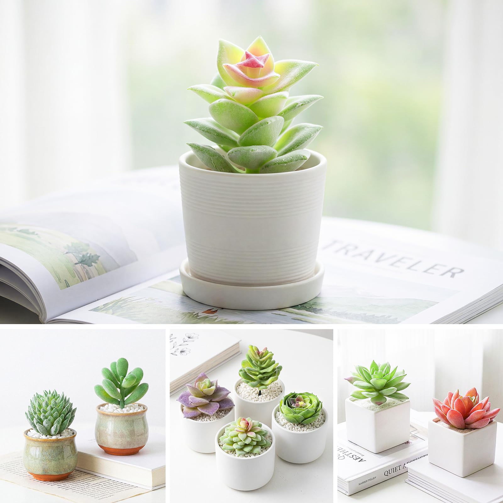 Amazon.com: HappyHapi 12 Pcs Artificial Succulents Mini Fake Plants  Unpotted Faux Succulent for Craft, Small Plastic Succulents Assortment in  Flocked Green Floral Decor for Party, Cake, Garden & Outdoor : Home &