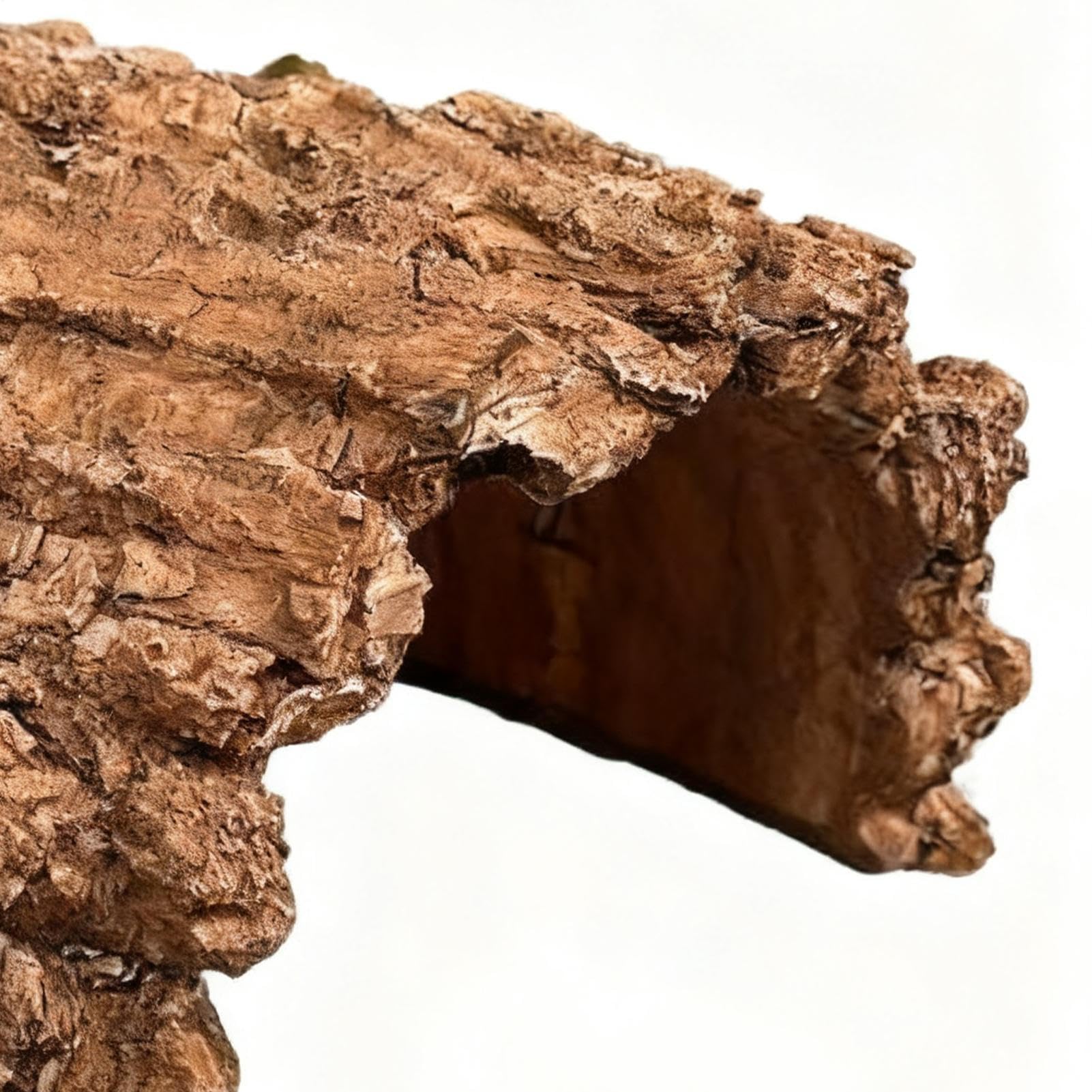 Nascondigli Per | Rifugio Caverna In Resina,Rifugio Per Tartarughe - Per Acquario Vasca Drago Barbuto Tartaruga Leopardo Gechi Rettili Anfibi Serpente