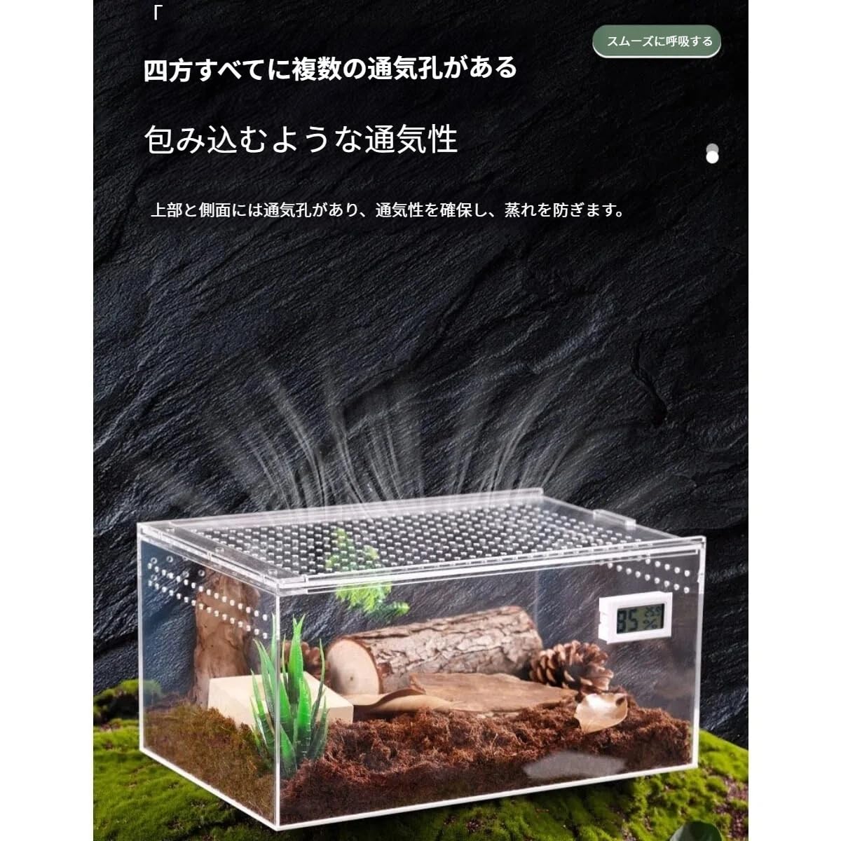 Amazon | Traxomi カブトムシ飼育ケース クワガタ・ヘラクレス