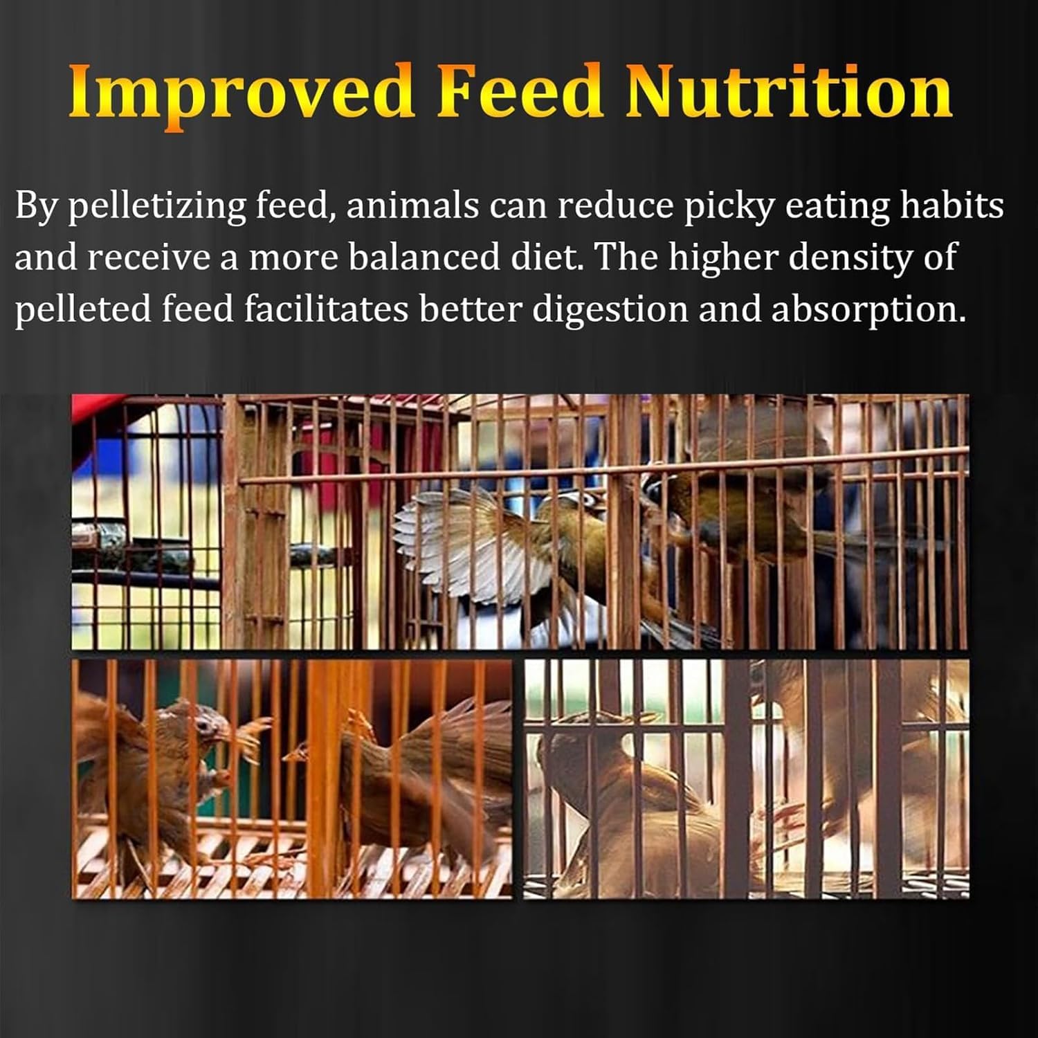 Macchina elettrica per la Produzione di Pellet per mangimi Animali - Macchina Multi-Piastra per Alimenti e Esche per Animali Domestici, per Una nutrizione ottimale e Una Produzione