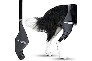 Tailwind Pets Dog Knee Brace: An Exceptional Hind Leg Support for Active Dogs
