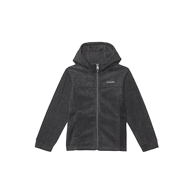Columbia Kids Steenstm II Fleece Hoodie (Little Kids/Big Kids) Boy