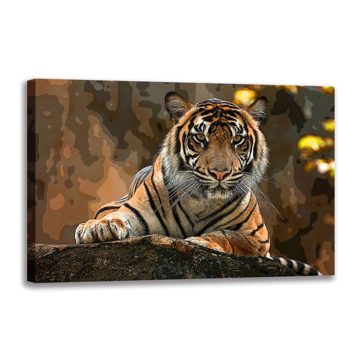 Multicolore Animal Abstrait Photo Toile Tigre Noir Haute Définition