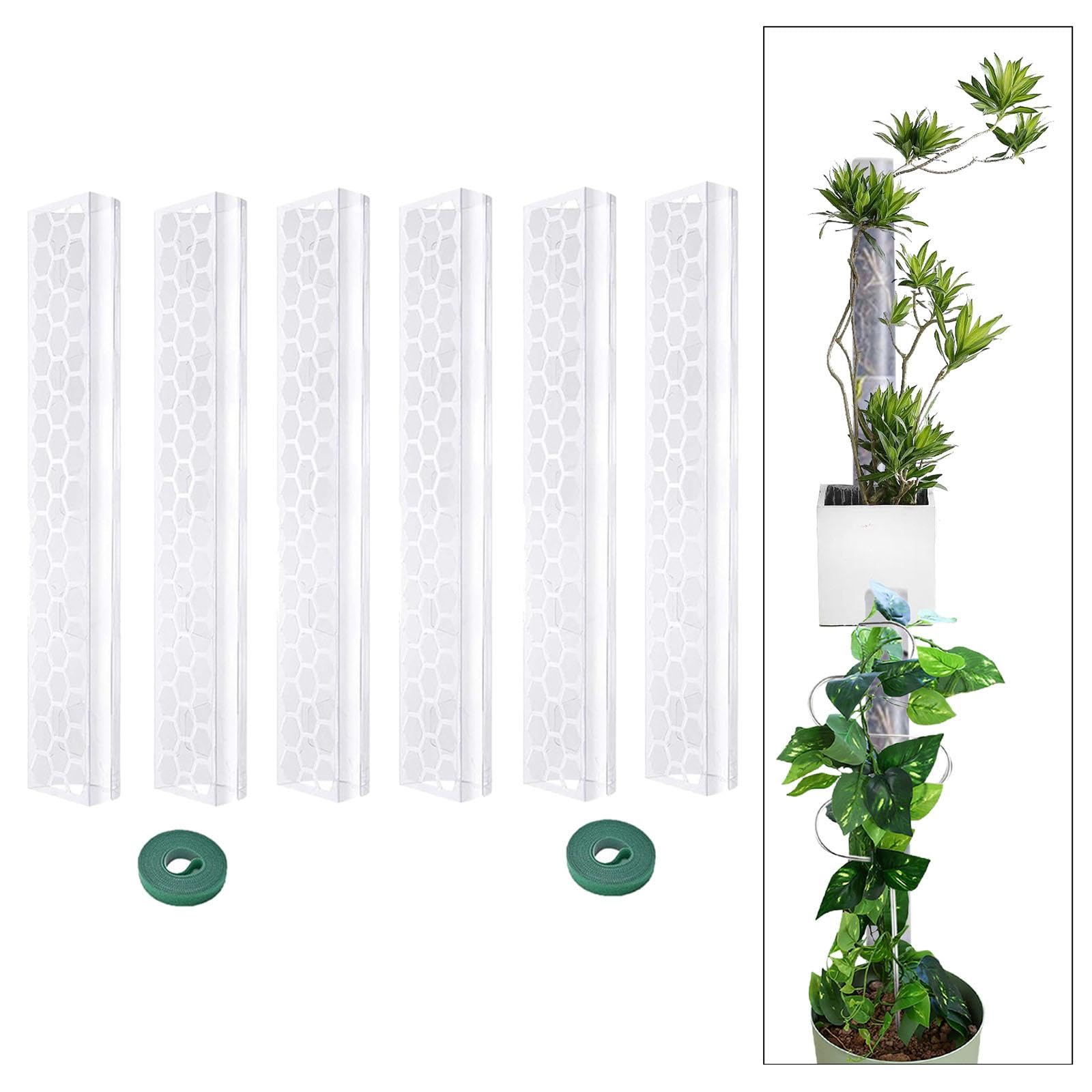 4 Pièces Tuteur Mousse pour Plantes Tiges Soutien Monstera Piquets de Croissance Montage Empilable Matériau Polypropylène Adapté à Plantes D'Intérieur, 6 Pièces