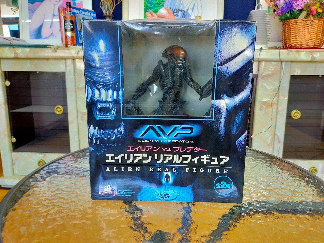 映画『FLY!/フライ』 グッズ トートバッグ ブランケット Tシャツ 帽子 映画『FLY!/フライ』 グッズ トートバッグ ブランケット Tシャツ 帽子