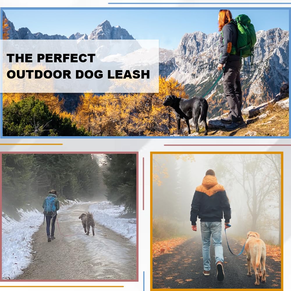 Laisse de Dressage et Longe Pratique et Imperméable pour Extérieur