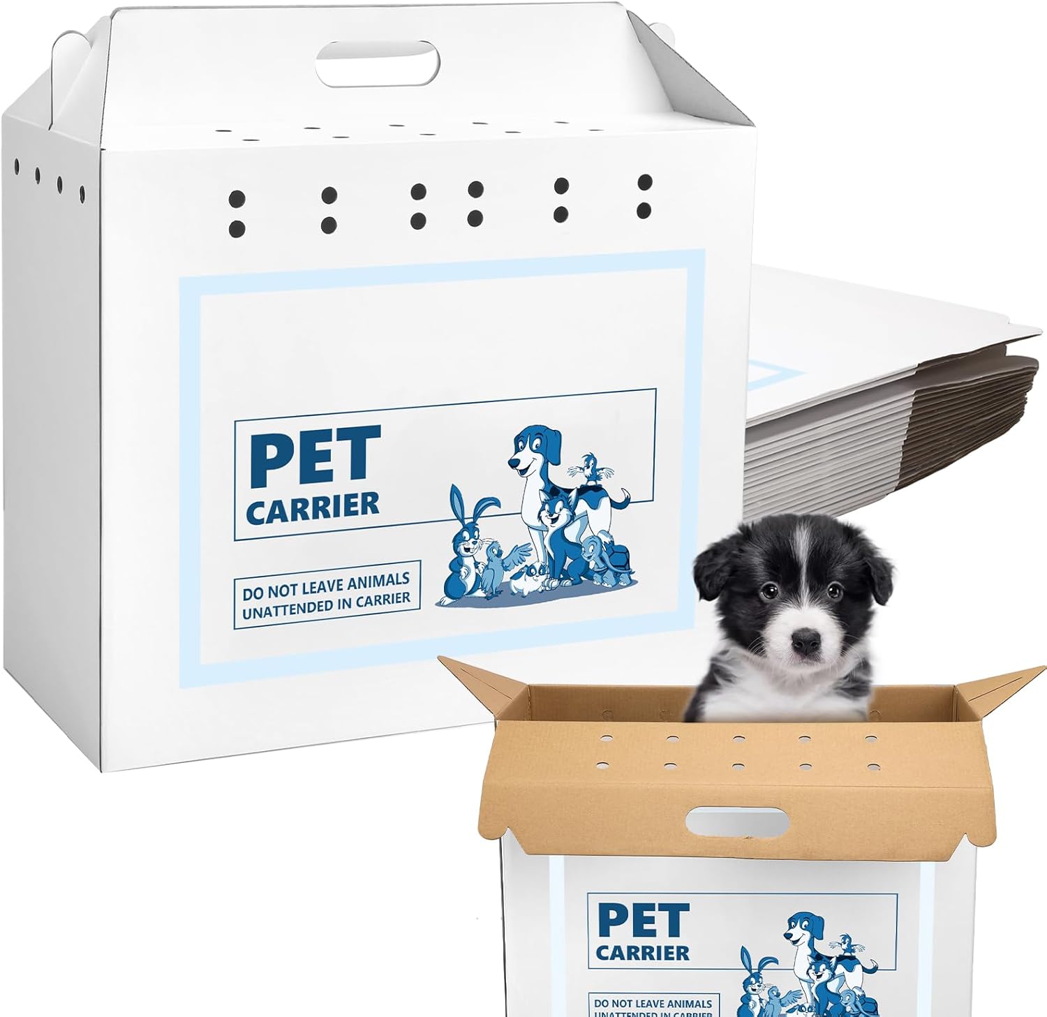 Teling 20 Pieces Disposable Cardboard Pet Carriers, Cardboard Pet Transport Box Cardboard Pet