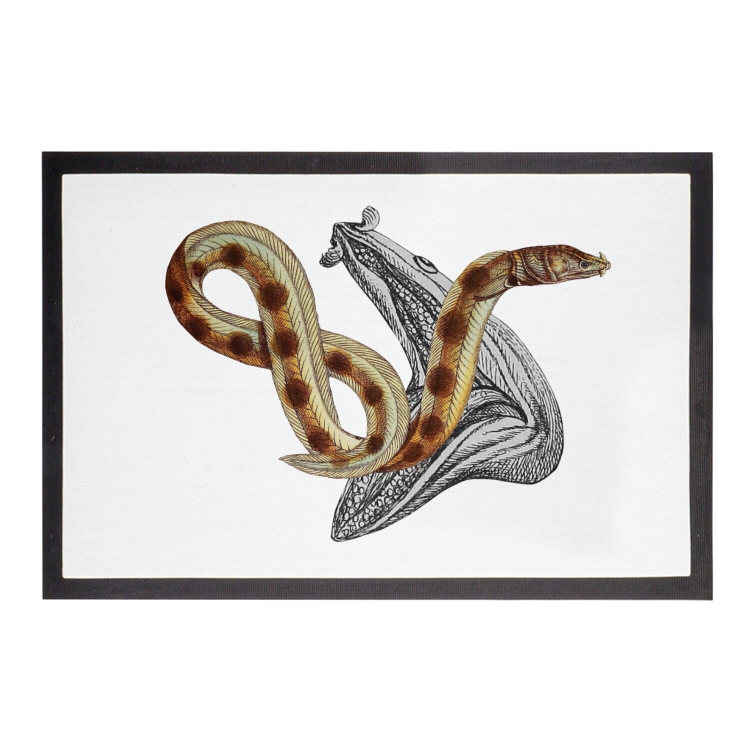 Paillasson Blanc Serpent Tapis Entrée Illustration Biologie 60x40