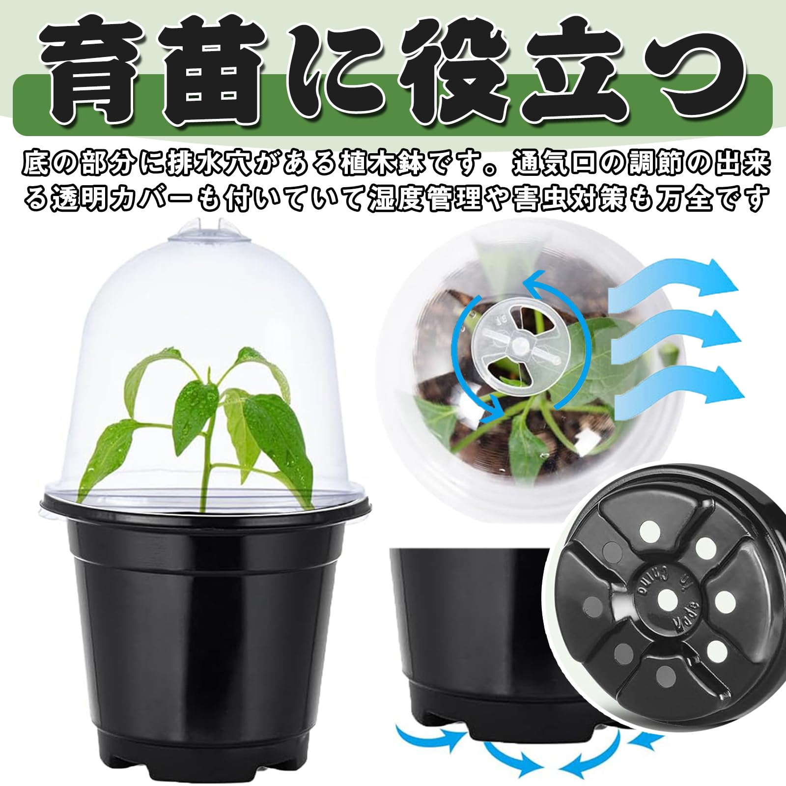 Amazon.co.jp: 育苗ポット ミニ植木鉢 プラスチック 透明苗ポット 10個