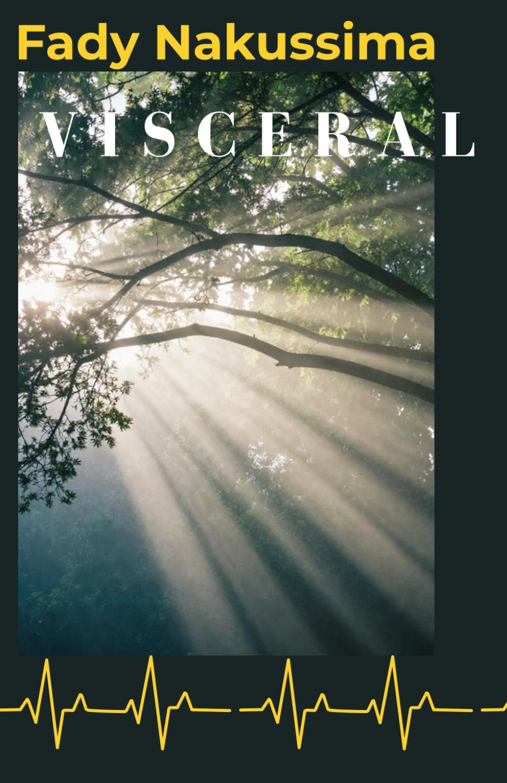 VISCERAL: From the silence of burnout to the geometry of power: A journey of reconstruction