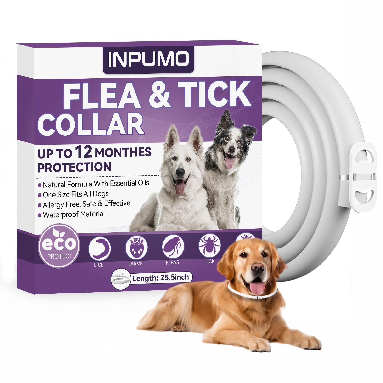 Collar Antiparasitario para Perros, Protección Natural de 12 Meses, Collar Antipulgas Impermeable y Ajustable para Perros Pequeños, Medianos y Grandes (1PCS)