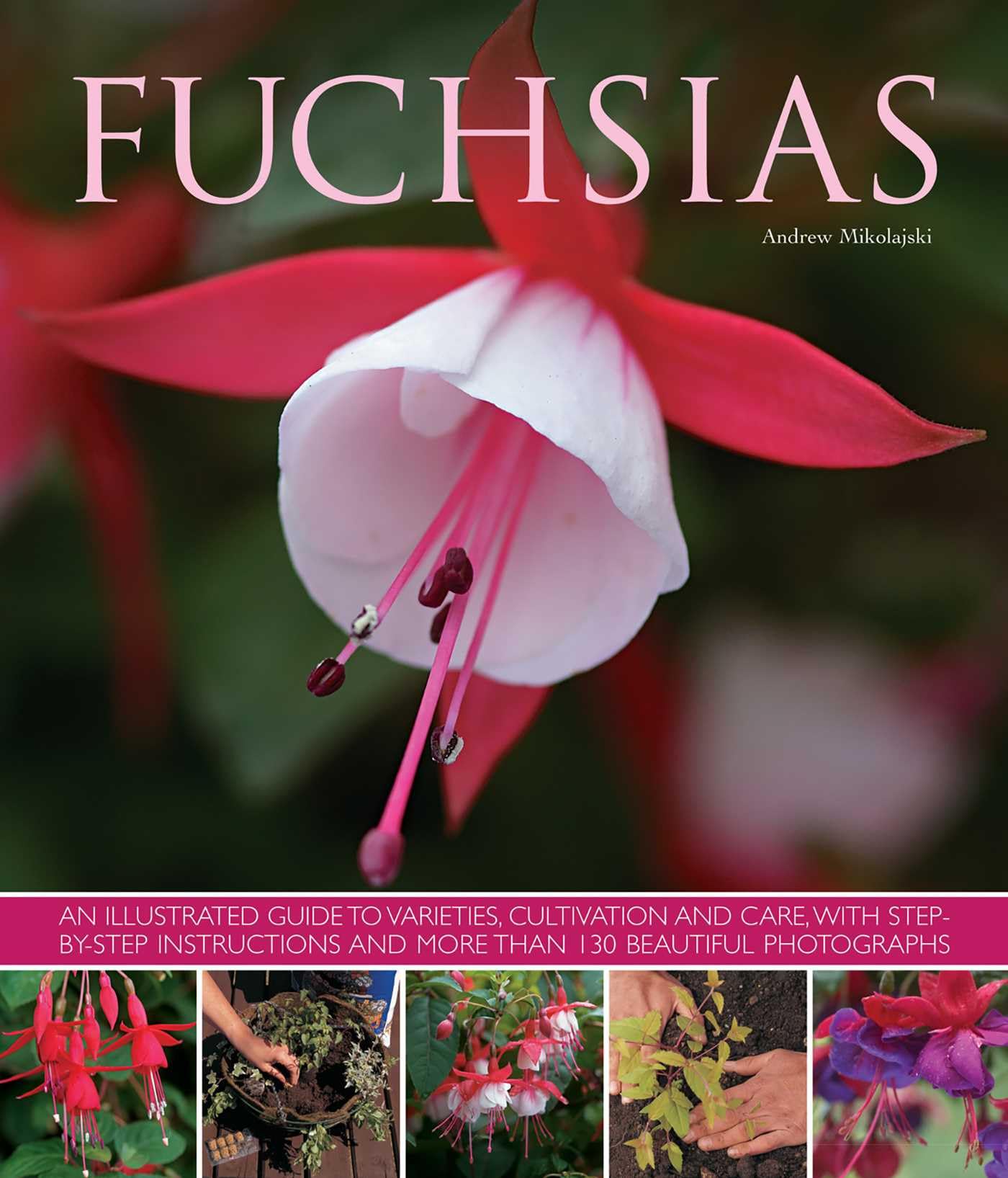 Fuchsias: an Illustrated Guide to Varieties,  by Andrew Mikolajski PAPERBACK