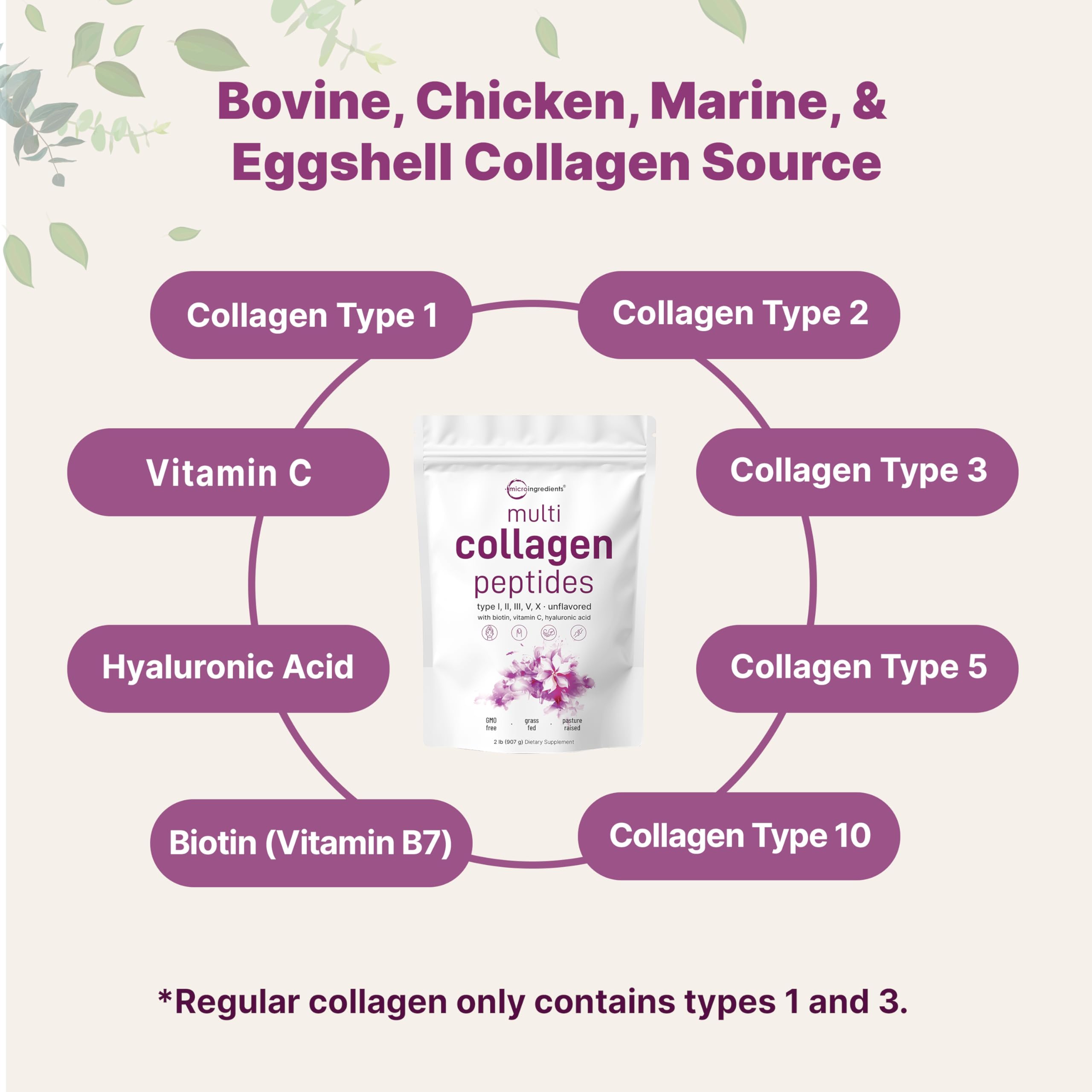 Micro Ingredients Multi Collagen Peptides Powder, 2lb (82 Servings) — Amazon image 2