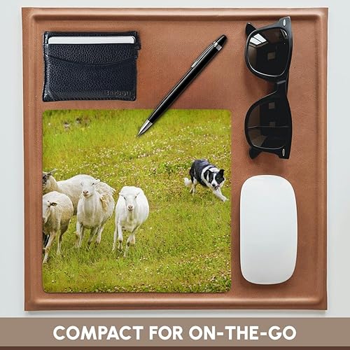 Miniatura 4 de 3dRose LLC - Alfombrilla para mouse (8 x 8 x 0.25 pulgadas) Colorado Summit County Border Collie Dog Jaynes Gallery (mp_88832_1)