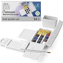 Winsor & Newton Cotman Scatola Field Box, 12 Mezzi Godet