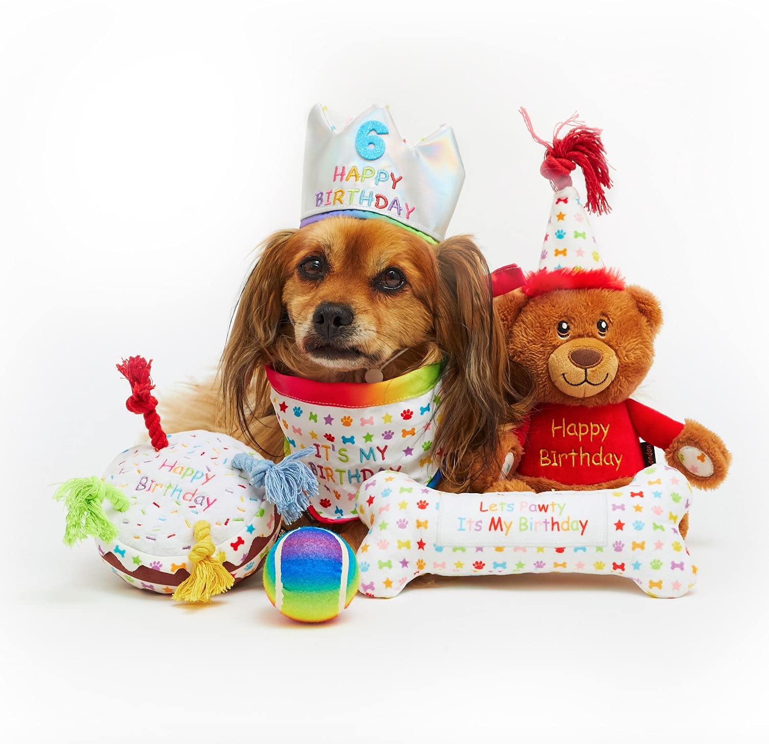 Coffret cadeau d'anniversaire pour chien 6 pièces avec jouets, chapeau et bandana Taille S