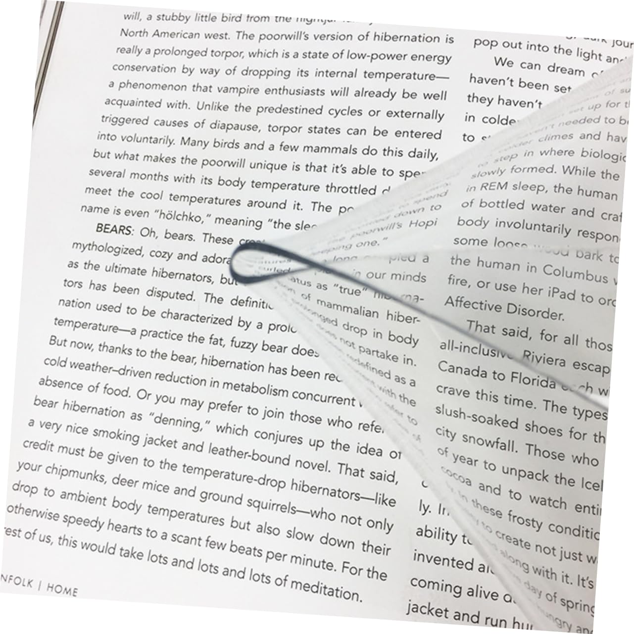 Ipetboom Elegant Women's Clutch Purse Jelly Bag Envelope Shape Large Capacity for Parties Events