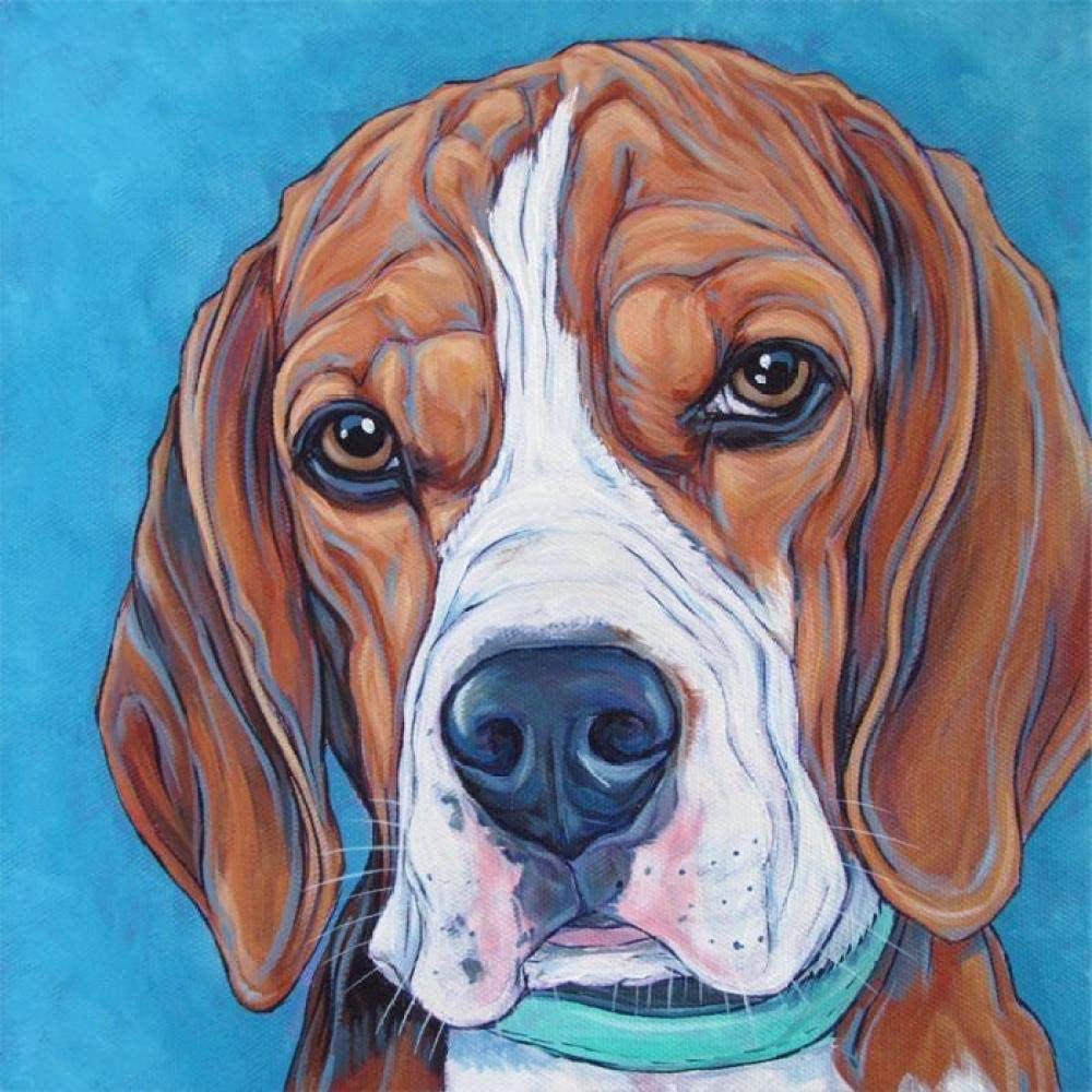 ZKAIAR Malen Nach Zahlen Kit – Beagle Hund Auf Leinwand 40x50 Cm, Mit Pinseln & Acrylfarben