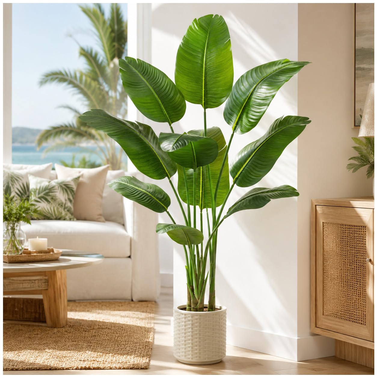 TNGGNT 5FT Traveler's Palm