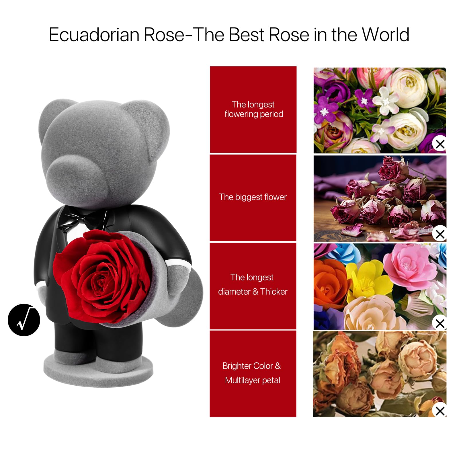 JoyFlower Ewiger Rosenbär – Konservierte Rote Rosen Als Geschenk Für Mutter, Ehefrau, Freundin Zu Weihnachten & Valentinstag