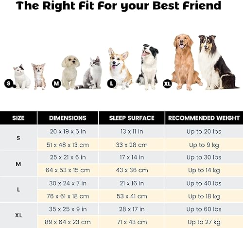 Miniatura 6 de Miguel Cama para perros con cojín extraíble para perros medianos y pequeños, cama lavable para mascotas con cama lateral fácil de lavar, cama