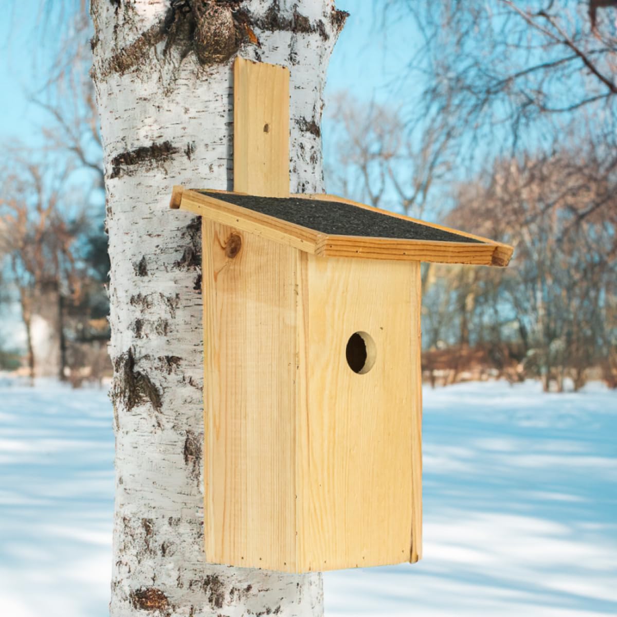 ITA Nistkasten 32x18x19 cm 5er Set - Vogelnistkasten für Draußen - Nisthilfe für Vögel - Wetterfest, Robust, zum Aufhängen, FSC Holz - Vogelhaus für Wildvögel wie Meisen & Rotkehlchen