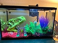 Review Image by Alex carver Alex carver