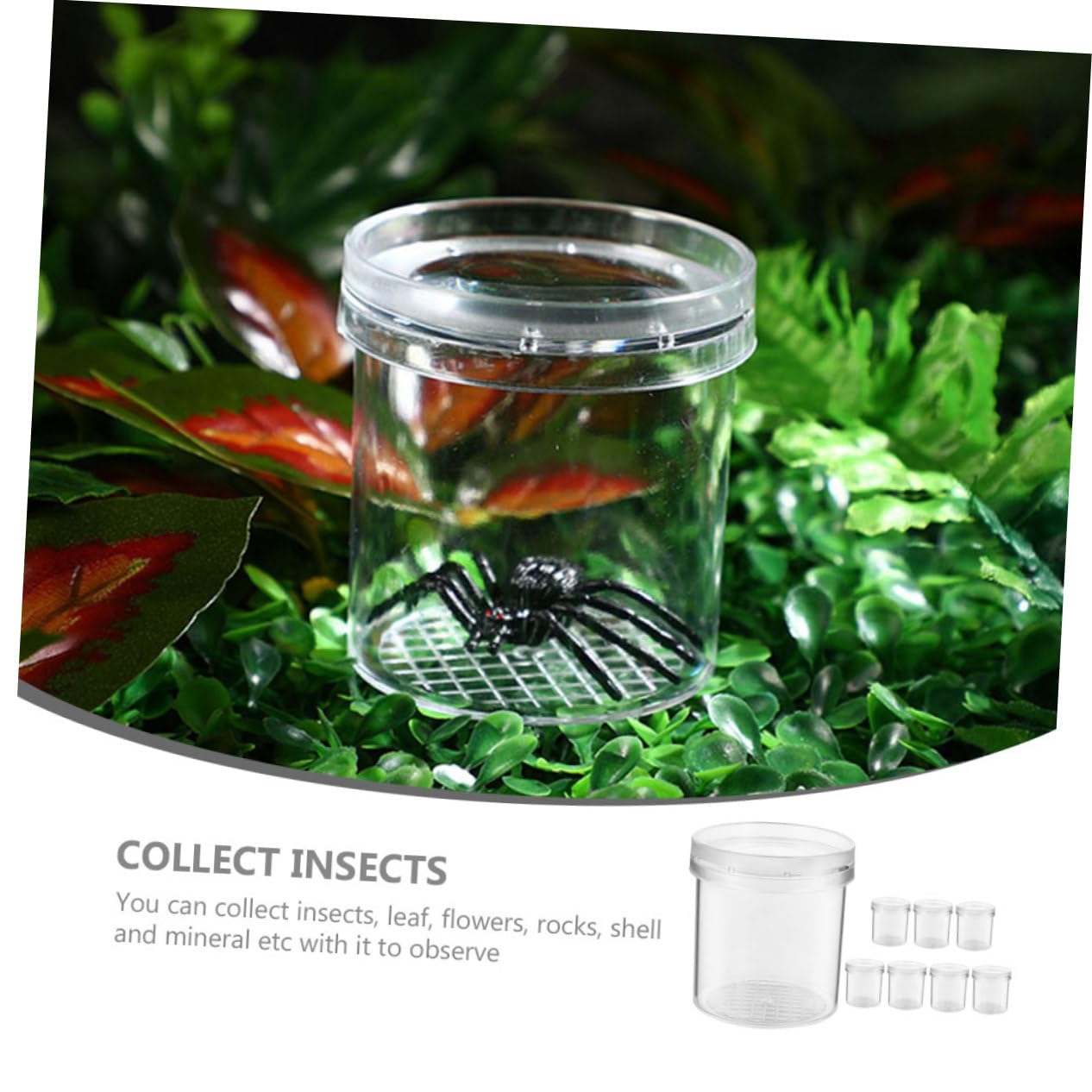NAMOARLY Kit 8 Botes Con Lupa Para Explorar Insectos - Perfecto Para ...