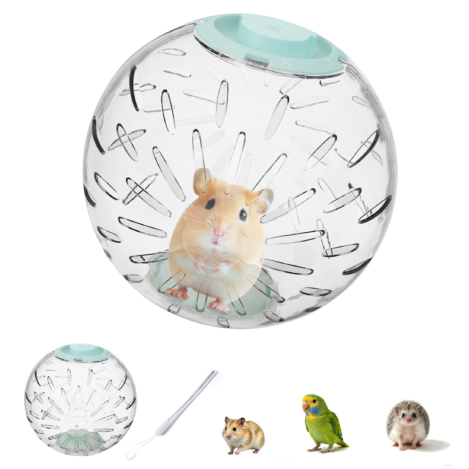 20cm Hamster Ball, Transparent Running Ball with White String(Green Lid)