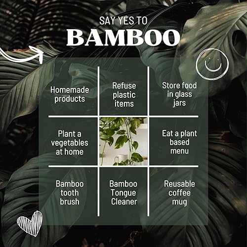 Miniatura 7 de CRAFTYCASA Raspador de lengua de bambú para adultos y niños (paquete de 10)