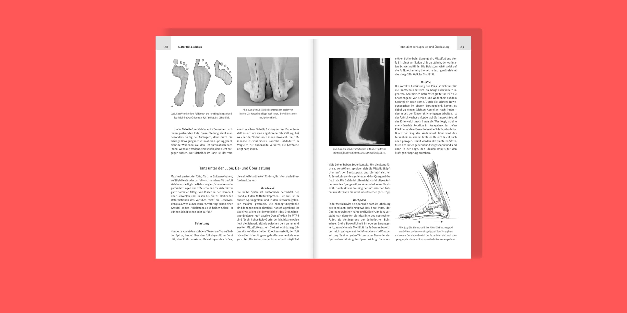 Tanzmedizin in der Praxis: Anatomie, Prävention, Trainingstipps