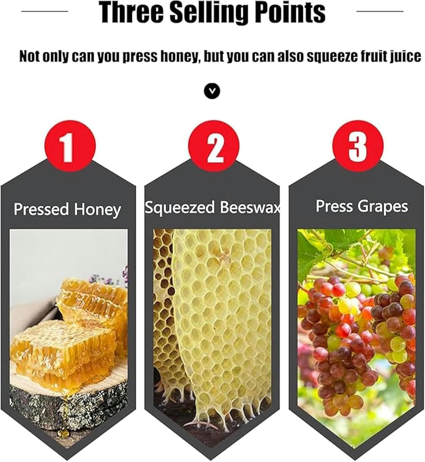 Fruit Wine Press, 10 -Liter Manual Press, Adjustable Height, Thick Base Table, Honey Extractor with Stainless Steel Cover for Fruits/Vegetables Prepare Wine/Juice ~/