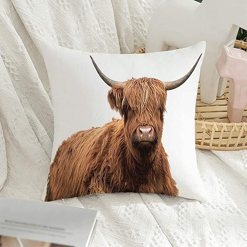 Miniatura 4 de Funda de almohada lumbar rectangular decorativa de terciopelo, vaca escocesa en campo blanco, granja de tierras altas, animales peludos de mamíferos
