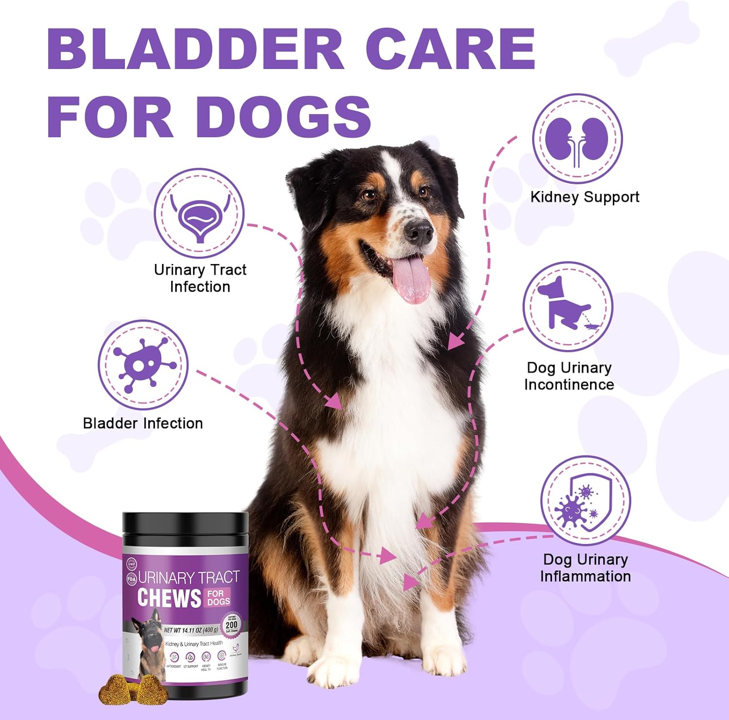 Dog Uti Treatment Cranberry Supplement for Dogs 200 Chews Urinary Tract Medicine Bladder Control Pills Kidney Support Cranberrys Extract Bites Uti Infection Treats Incontinence Remedy for Dogs Chicken