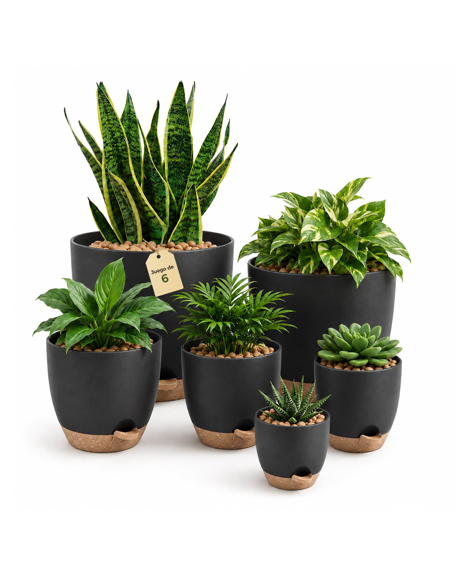 Bamworld Macetas Autorriego de Interior, Tiesto de Plástico con Base Integrada, Pack de 6 (20/18/17/15/14/13 cm), para Cocina, Balcón, Jardín y Vivero Interior macetas Negro