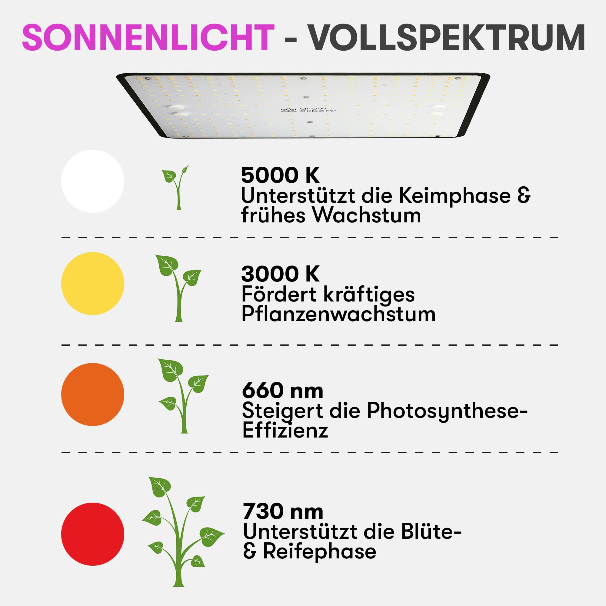 Led Einbaustrahler Mit Klickverschluss - LED Deckenspots 230V Glas Durchsichtig - Einbaurahmen GU10 Rund Ohne Leuchtmitt