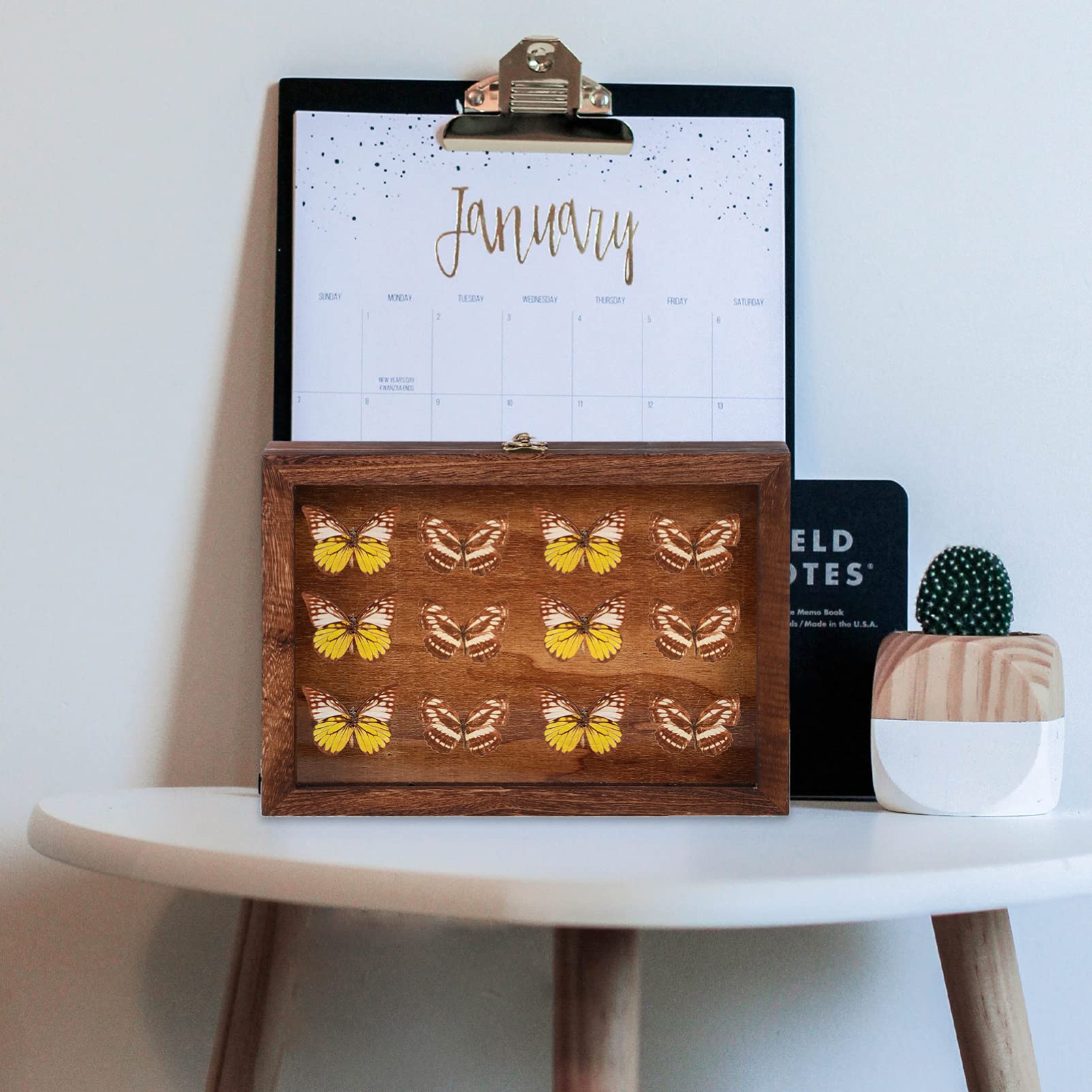 DEARMAMY 1pc Box Specimen Display Box Pin Display Case Plant Specimen Display Case Shadow Boxes Display Cases Jersey Frame Display Case Insect Display Case Specimen Drawer Acrylic Coffee