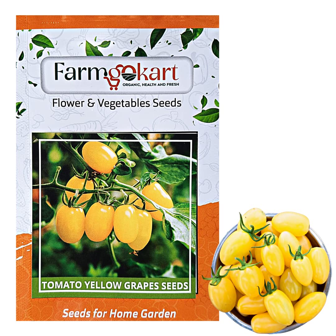 Farmgokart |Pack of 40 Nos | TOMATO - YELLOW GRAPE | Best Suitable For Terrace And Home Gardening |Quality Exotic vegetable Seeds| (B0BNDMT8MD) Amazon Price History, Amazon Price Tracker