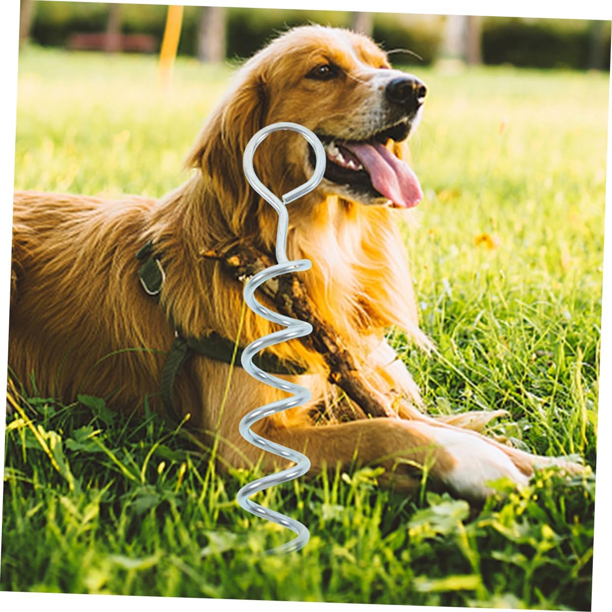 HANABASS 6pcs Heavy Duty Dog Tie Out Stake Sturdy Ground Anchor for Secure Camping Spiral Design for Easy Installation for Outdoor Use and Pet Safety