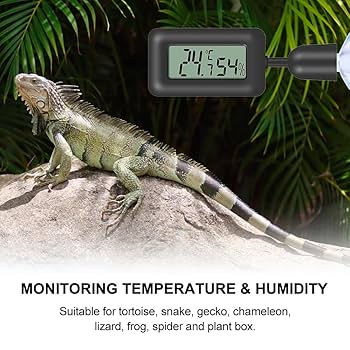 Dimming Thermostat For Reptile BSRESIN PCS Rectangle Reptile