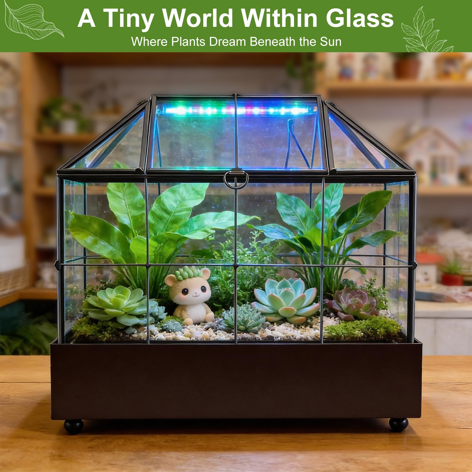 Mini invernadero para ventana de cristal, 23,3 x 13,6 x 18 cm, para plantas, terrario, pequeño jardín de botellas