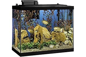 Ultra Clear 15g Fish Tank: Perfect Abode for Your Aquatic Friends