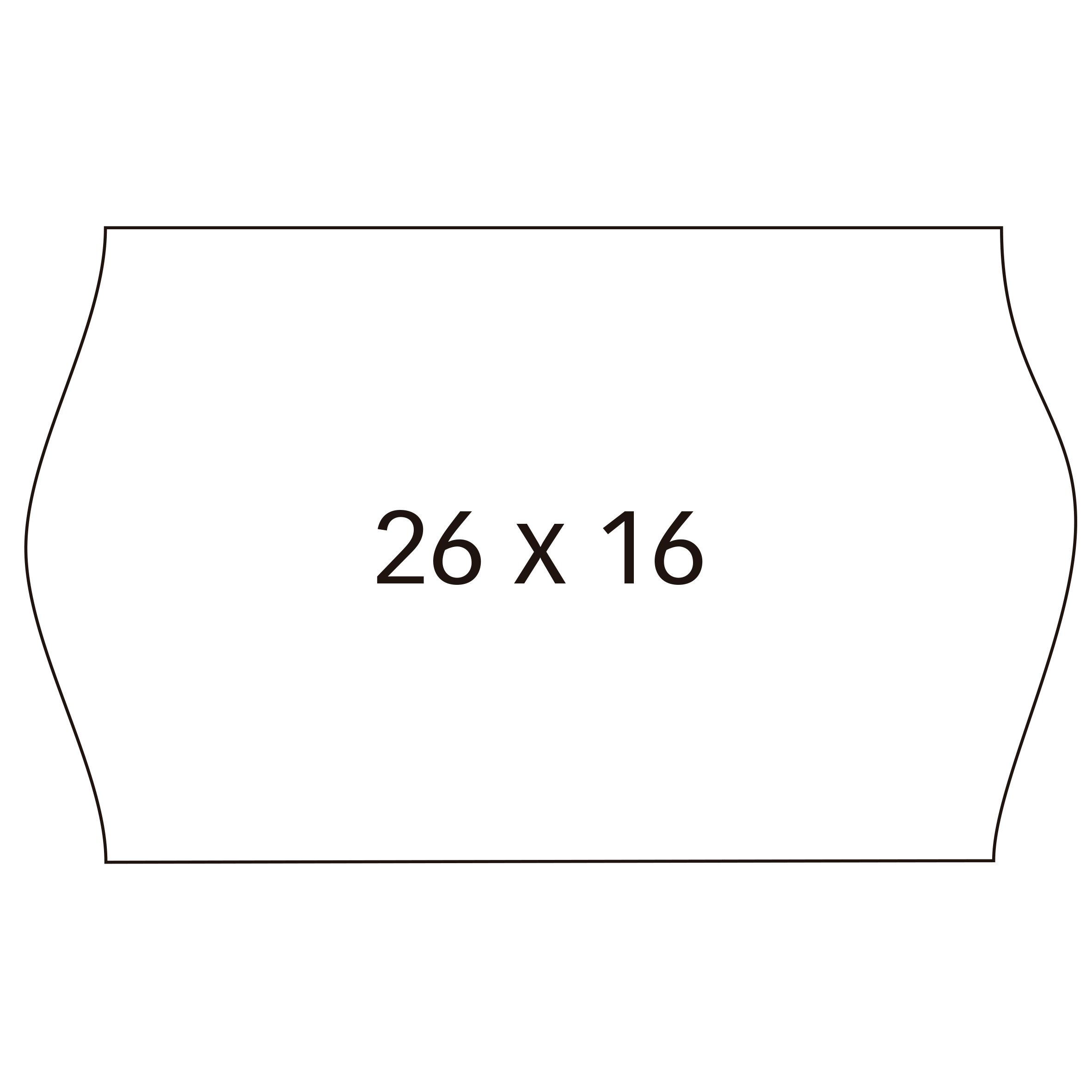 Agipa 100922 Pack of 6 Rolls of 1000 Labels Each White