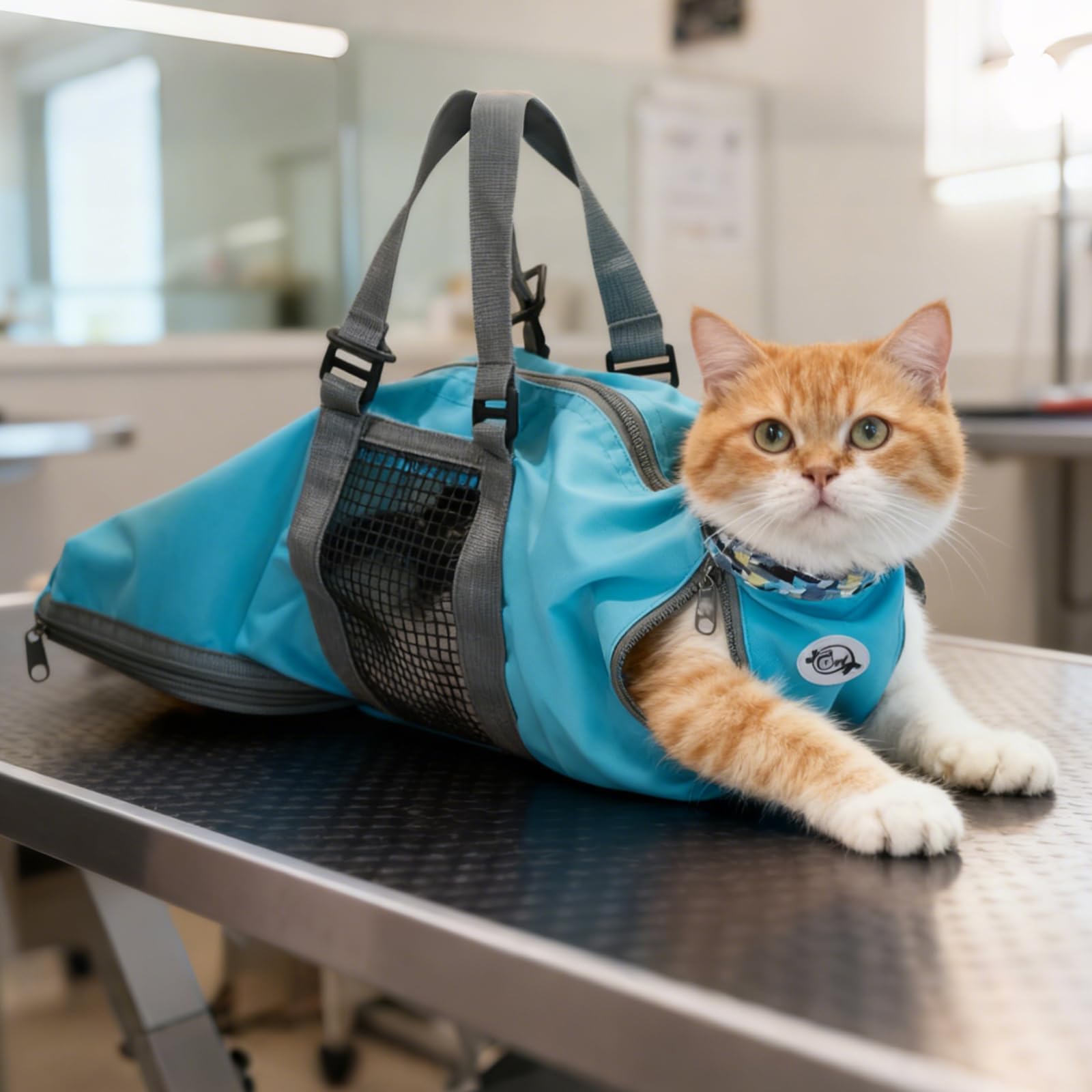 Cinf Cat Nail Clipping Cleaning Grooming Restraint Bag No Scratching Biting for Bathing Nail Trimming Injecting Examining(Blue,M)