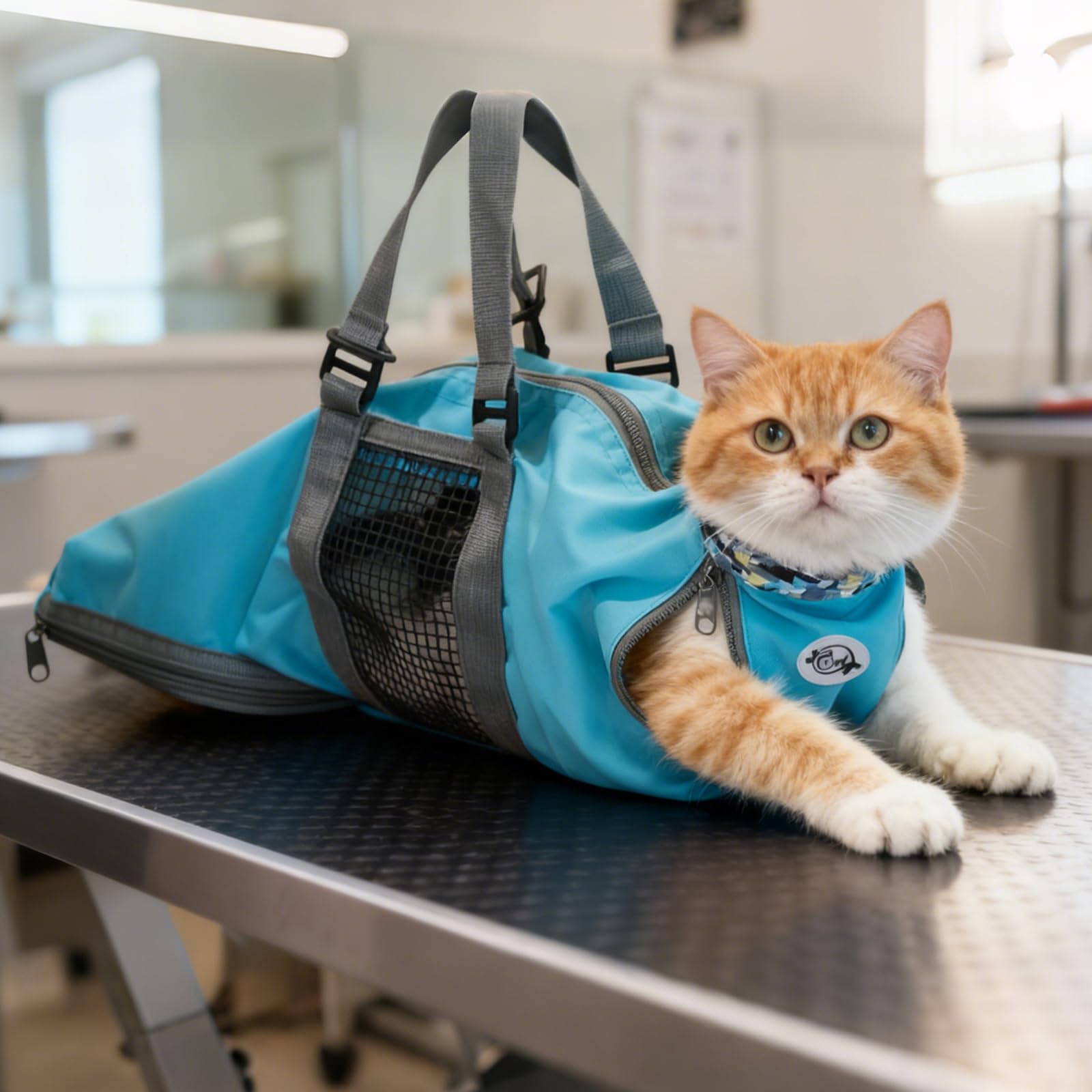 Cat Nail Clipping Cleaning Grooming Restraint Bag No Scratching Biting for Bathing Nail Trimming Injecting Examining(Blue,M)