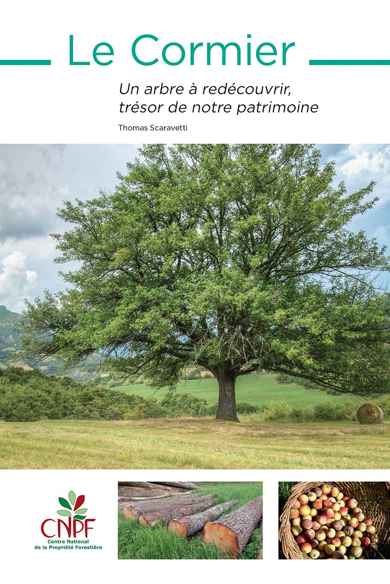 Le Cormier: Un arbre à redécouvrir, trésor de notre patrimoine