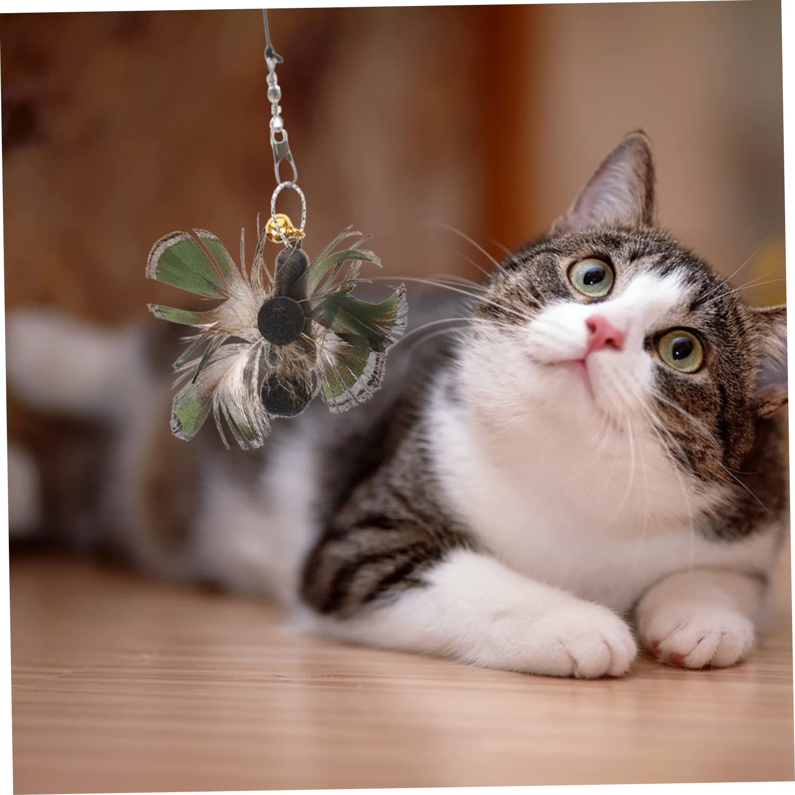 Yardwe 30pièces Recharge pour Canne à Chat avec Insectes Et Plumes Jouets pour Intérieur Améliorez Lien avec Animal
